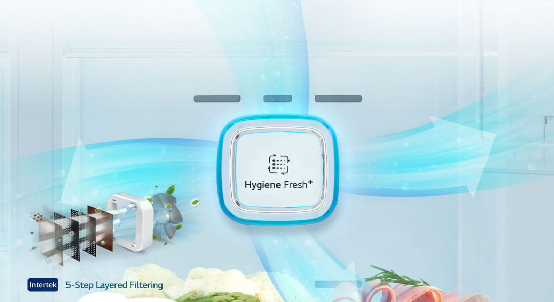 فیلتر-بهداشتی-Hygiene-Fresh