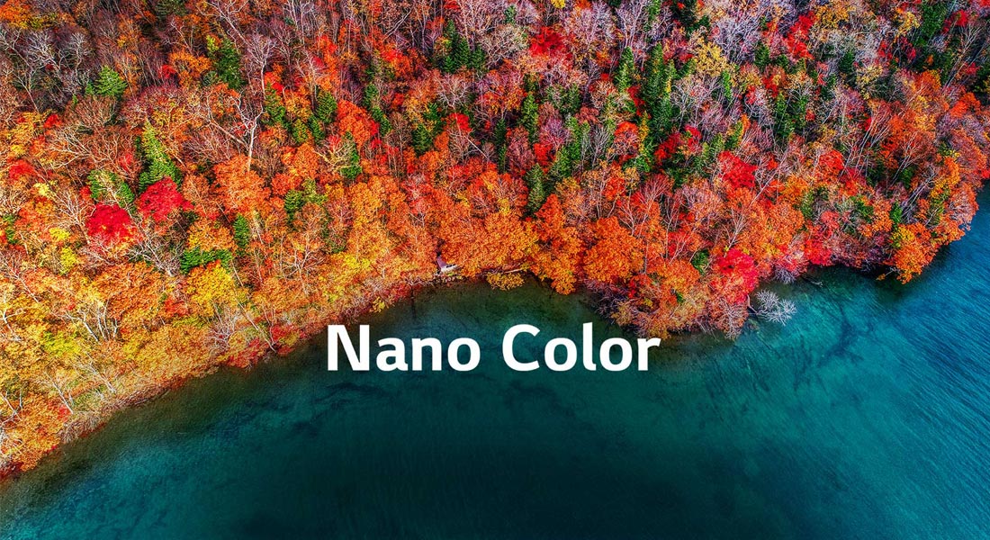 فناوری نانو رنگ (NanoColor)